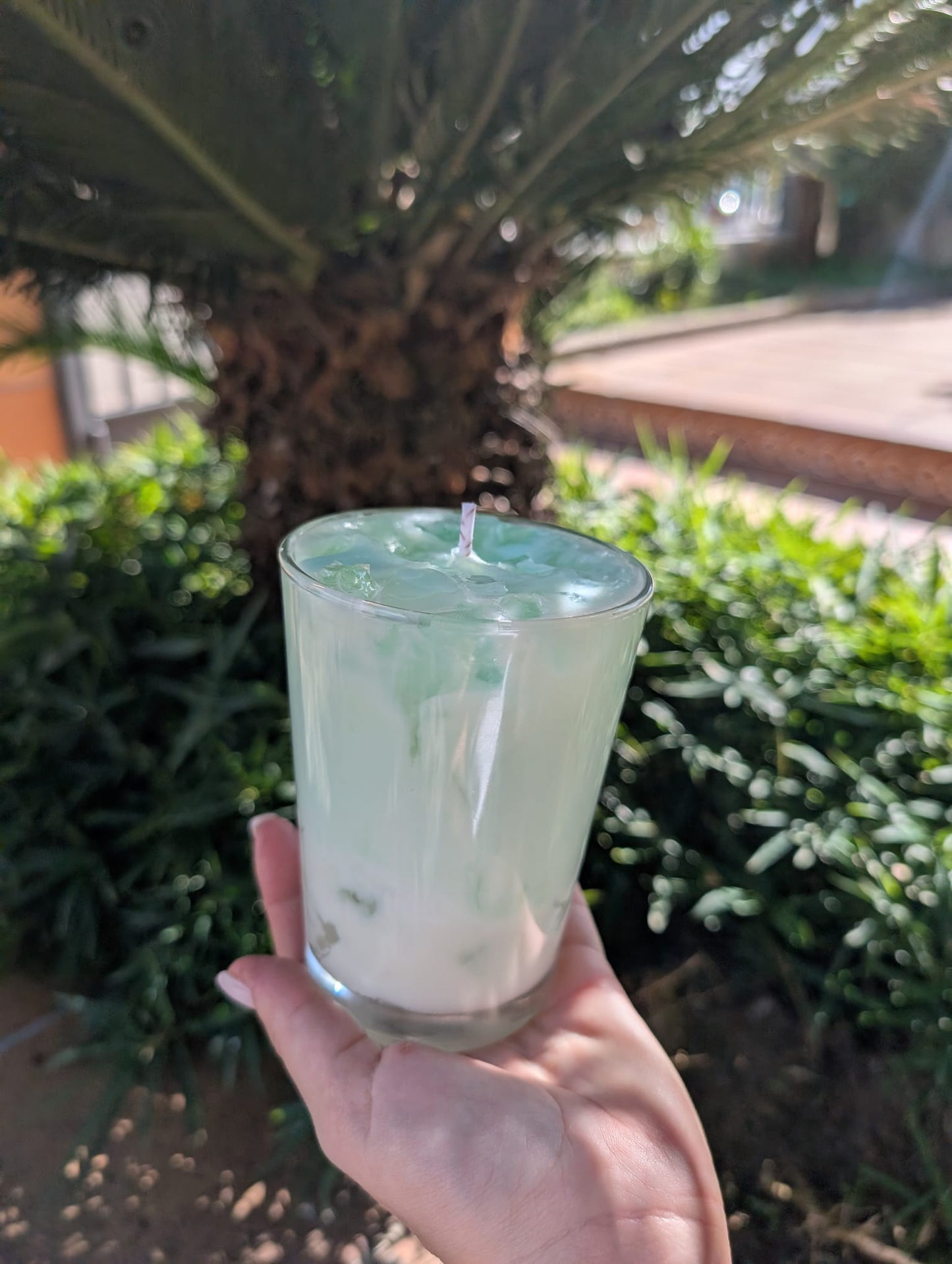 Vela Iced Matcha Latte