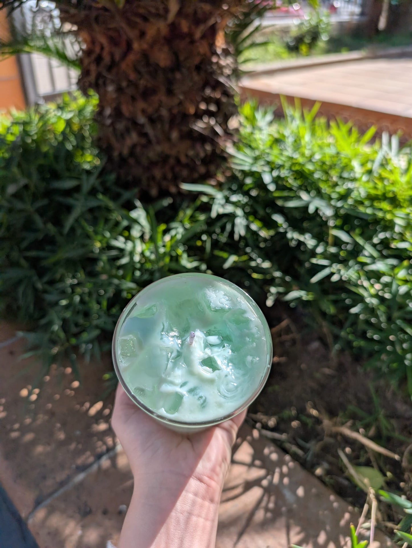 Vela Iced Matcha Latte